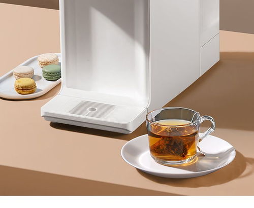 免安裝家用臺上式即熱式物聯網直飲凈飲冷熱一體反滲透凈水器純水機